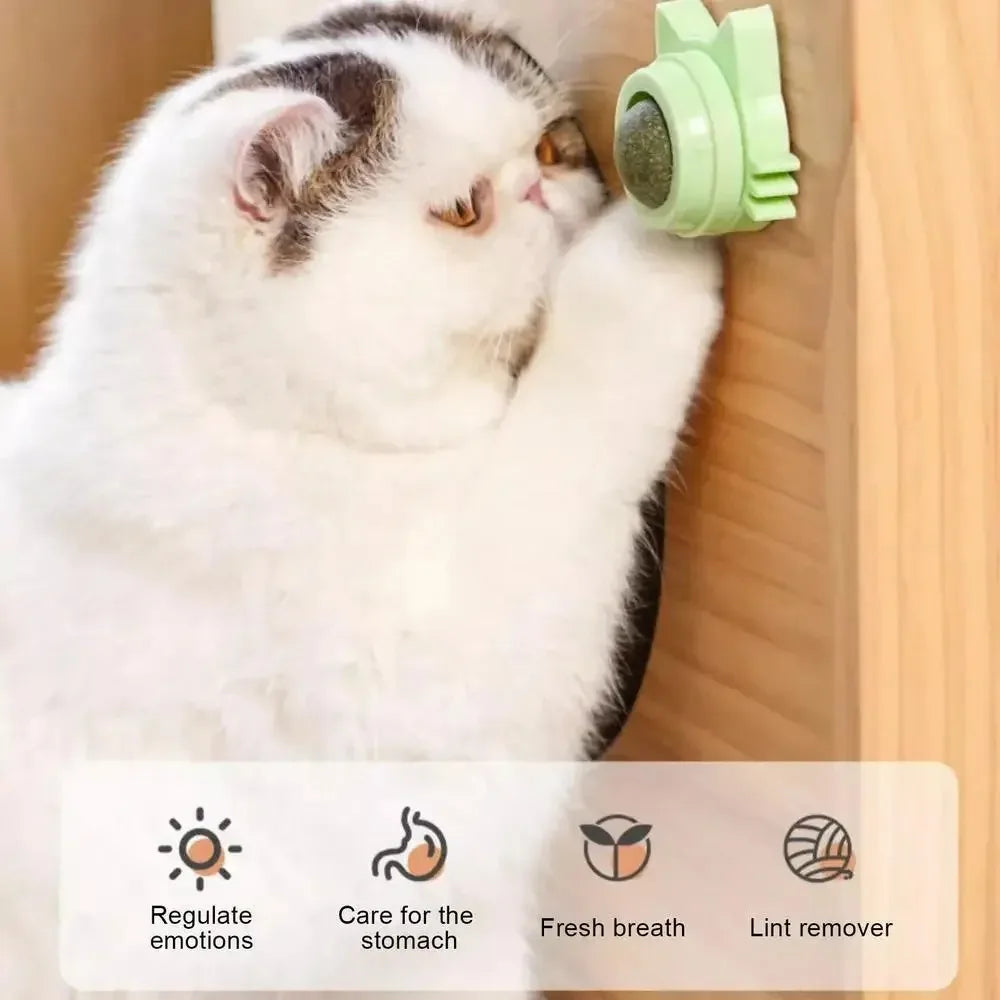 Catnip Cat Wall Stick-on Ball Toy