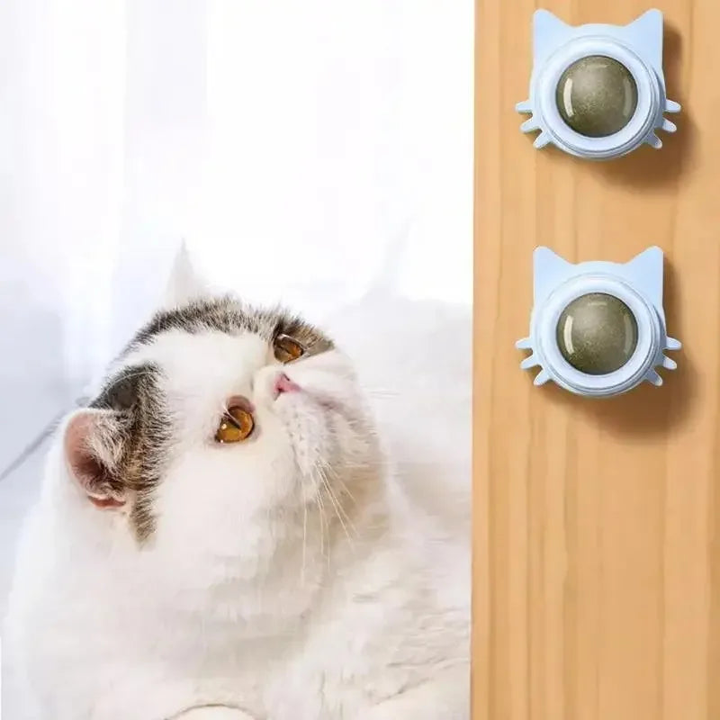 Catnip Cat Wall Stick-on Ball Toy