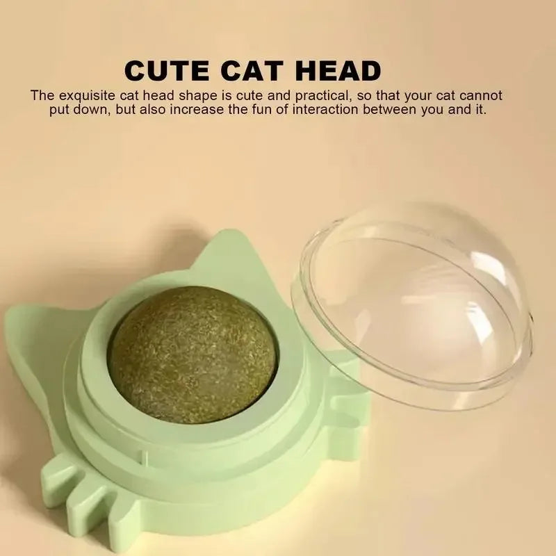 Catnip Cat Wall Stick-on Ball Toy