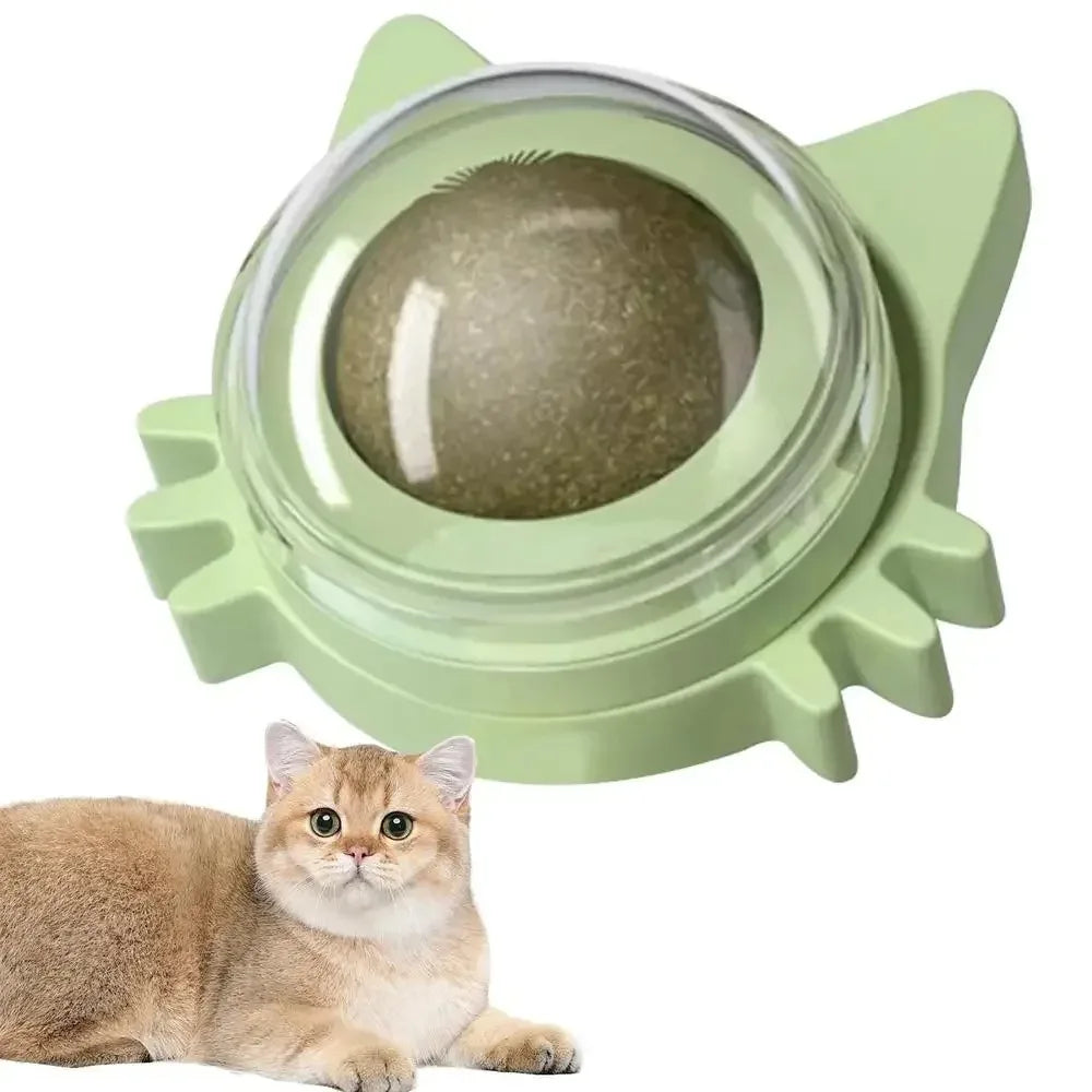 Catnip Cat Wall Stick-on Ball Toy