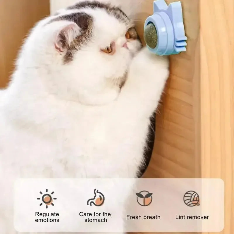 Catnip Cat Wall Stick-on Ball Toy