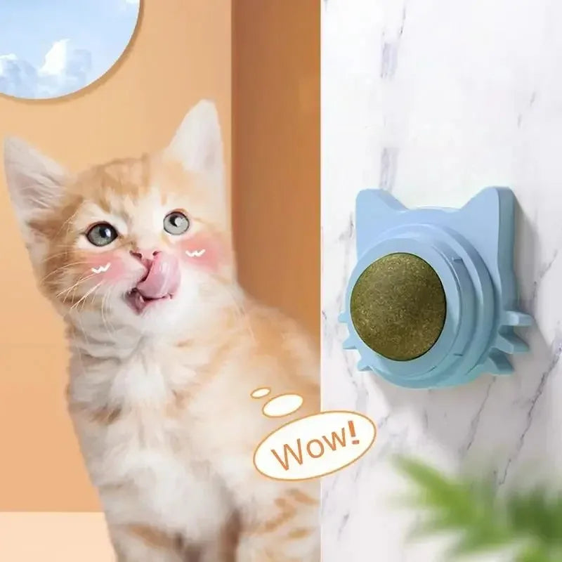 Catnip Cat Wall Stick-on Ball Toy