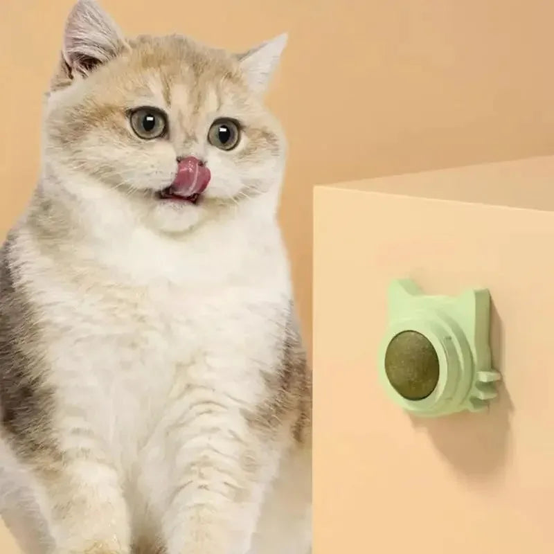 Catnip Cat Wall Stick-on Ball Toy