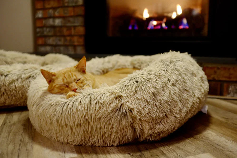 Pet Beds