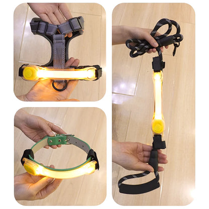 Dog Anti Lost Safety Glowing LED Collar