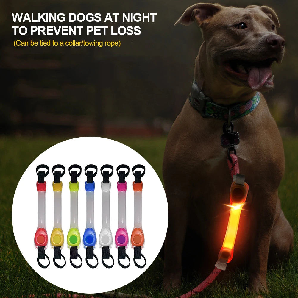 Dog Anti Lost Safety Glowing LED Collar