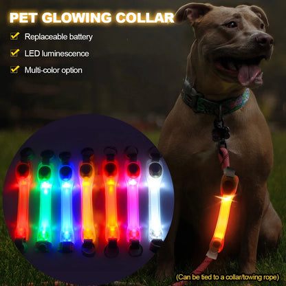 Dog Anti Lost Safety Glowing LED Collar