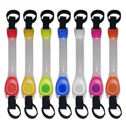 Dog Anti Lost Safety Glowing LED Collar