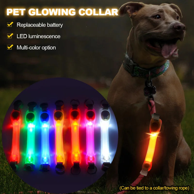 Dog Anti Lost Safety Glowing LED Collar