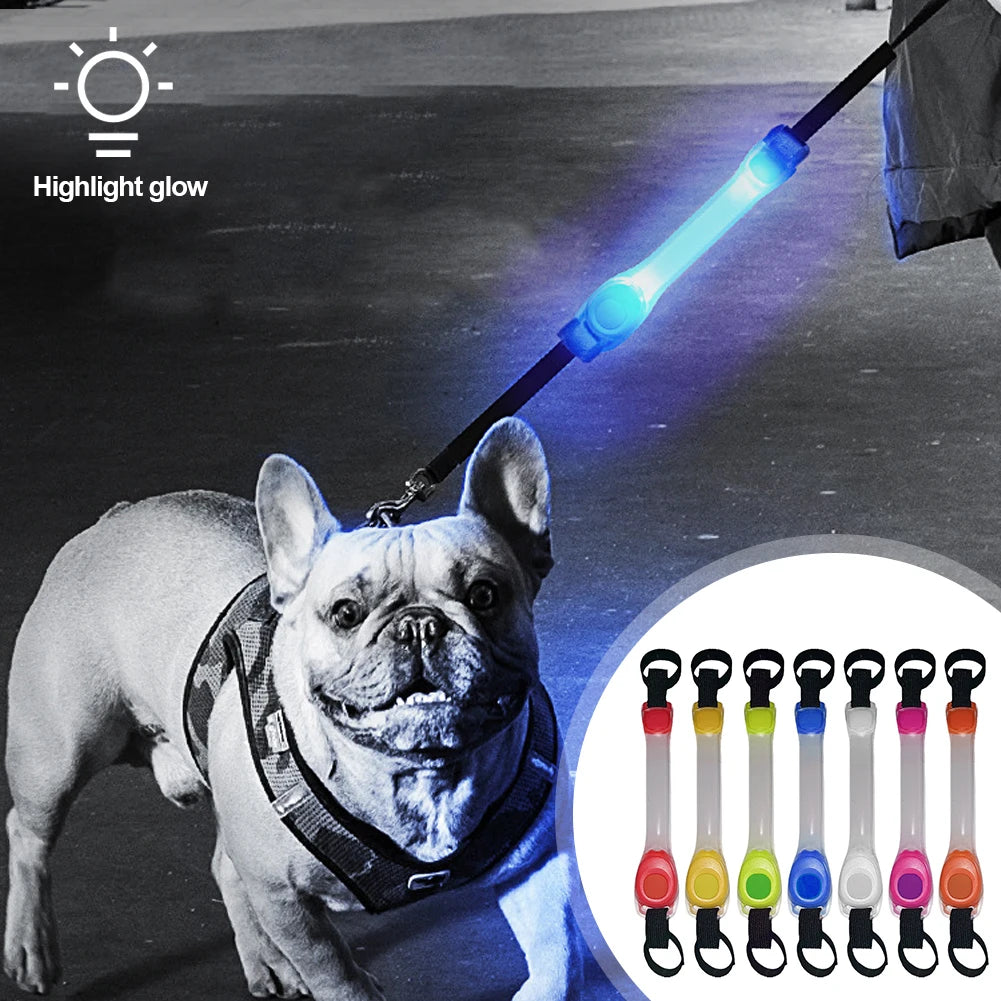 Dog Anti Lost Safety Glowing LED Collar