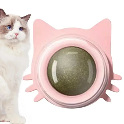Catnip Cat Wall Stick-on Ball Toy