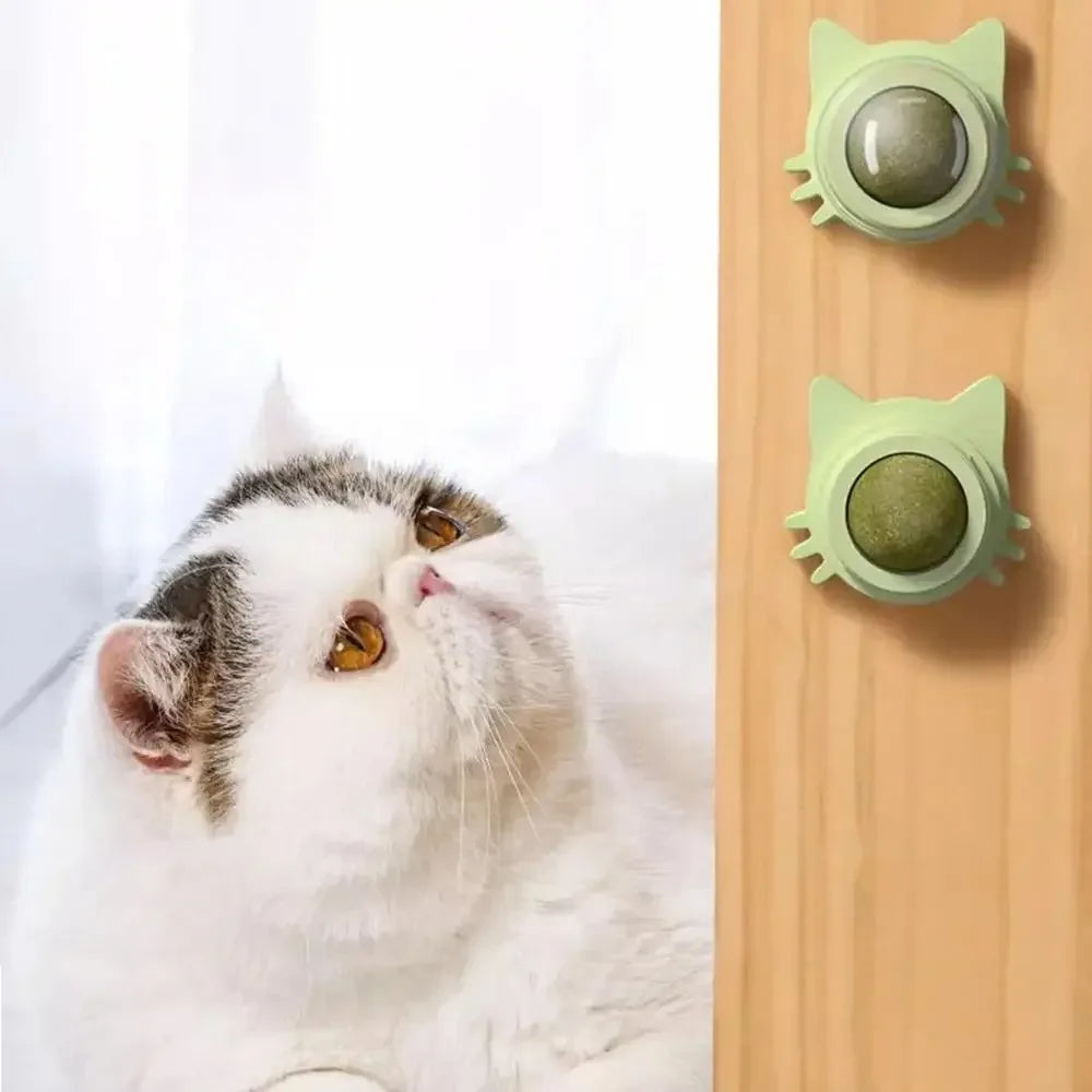 Catnip Cat Wall Stick-on Ball Toy