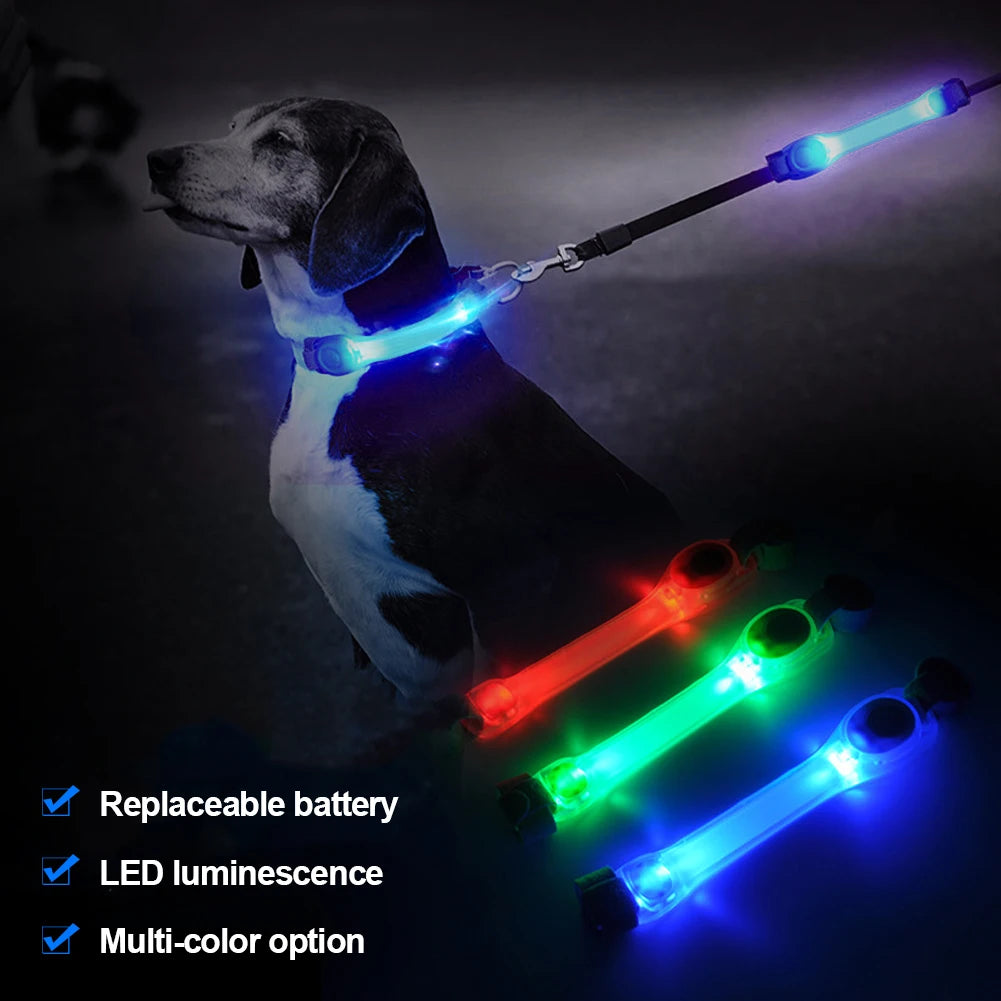 Dog Anti Lost Safety Glowing LED Collar