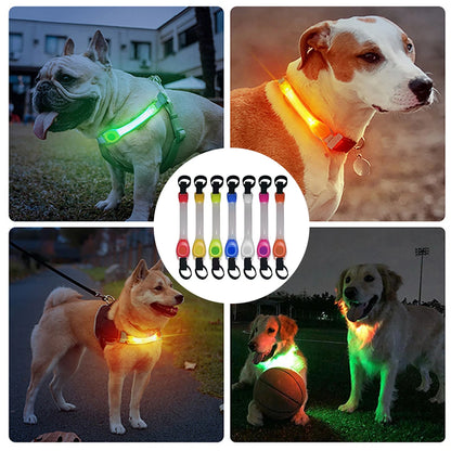 Dog Anti Lost Safety Glowing LED Collar