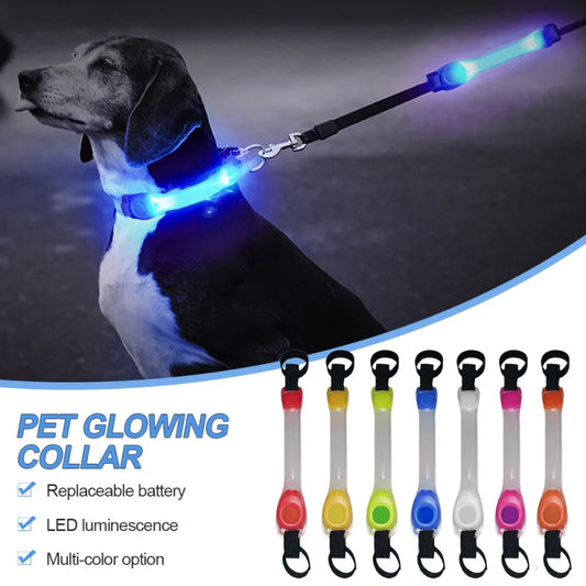 Dog Anti Lost Safety Glowing LED Collar